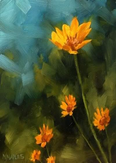verda whipple