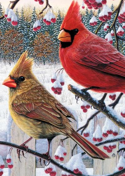 dale vaughn